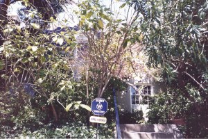 Fireball: Carole Lombard and the Mystery of Flight 3 by Robert Matzen