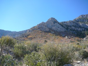 Fireball: Carole Lombard and the Mystery of Flight 3 by Robert Matzen