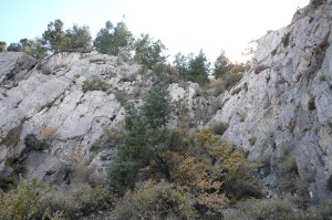 Fireball: Carole Lombard and the Mystery of Flight 3 by Robert Matzen