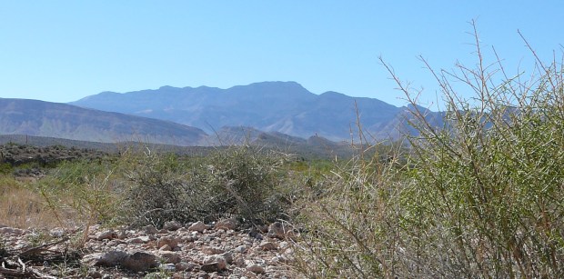 Fireball: Carole Lombard and the Mystery of Flight 3 by Robert Matzen