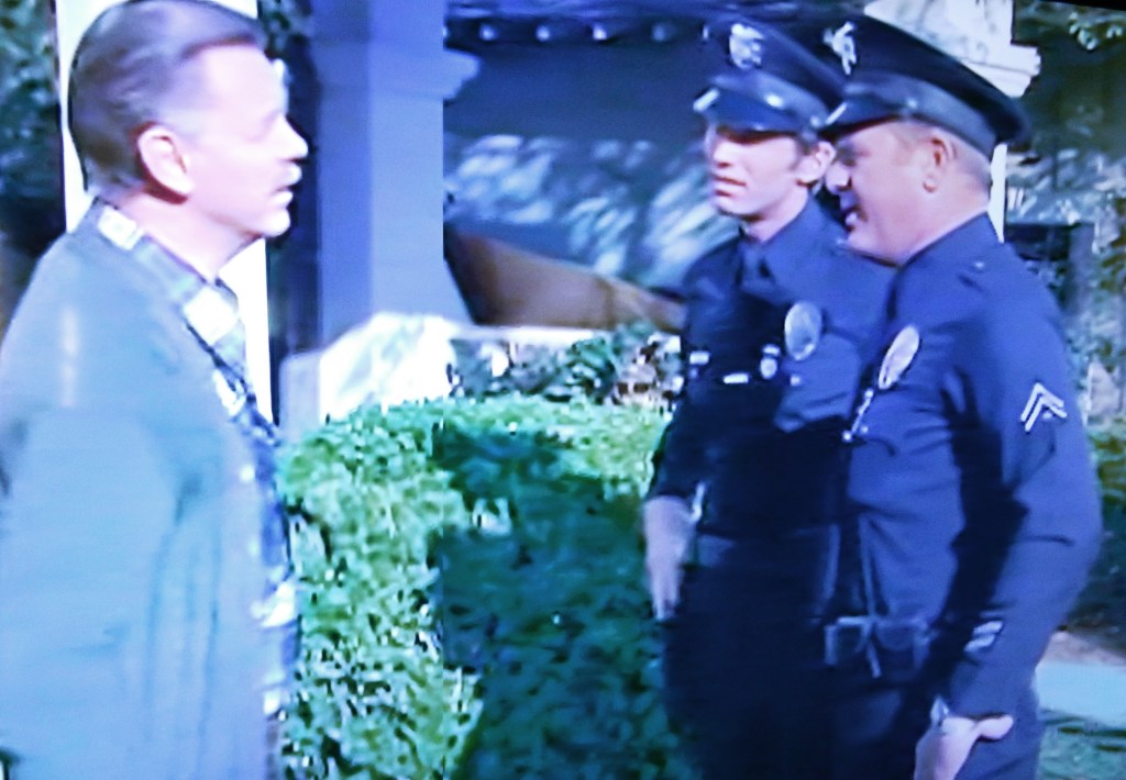 Warrior: Audrey Hepburn by Robert Matzen